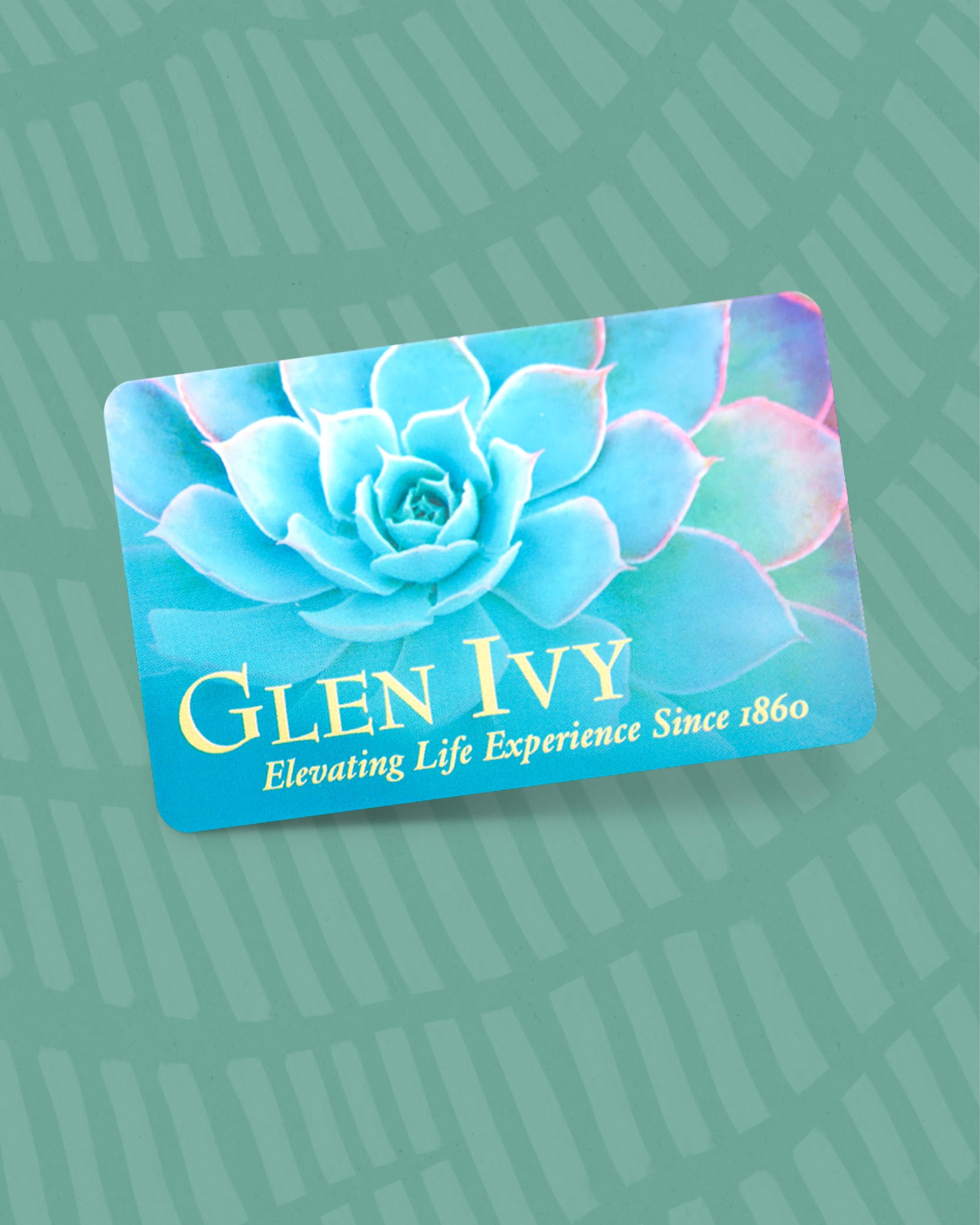 Glen Ivy natural mineral baths