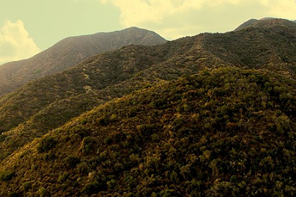 hills