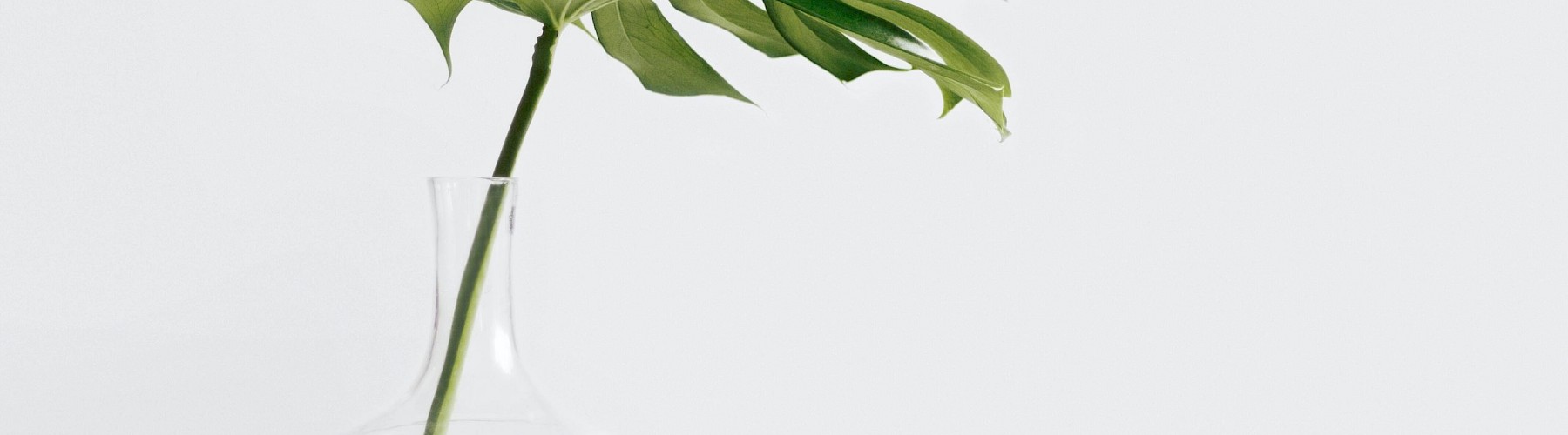 minimalism_blog
