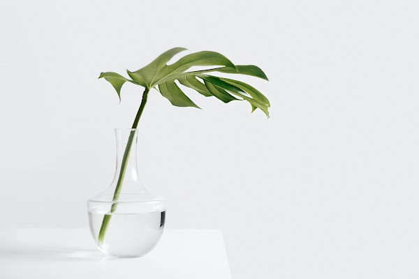 minimalism_blog