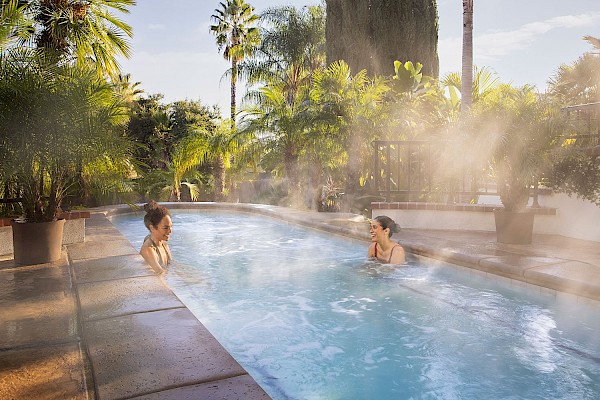 Winter Wellness Southern California
