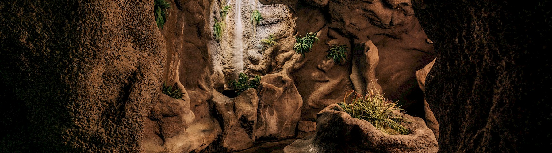The Grotto