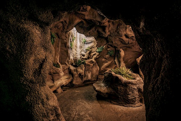 The Grotto